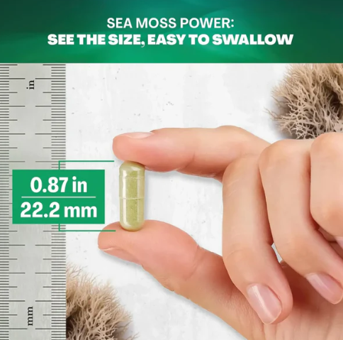 Sea moss : Complément Naturel pour Thyroid Support