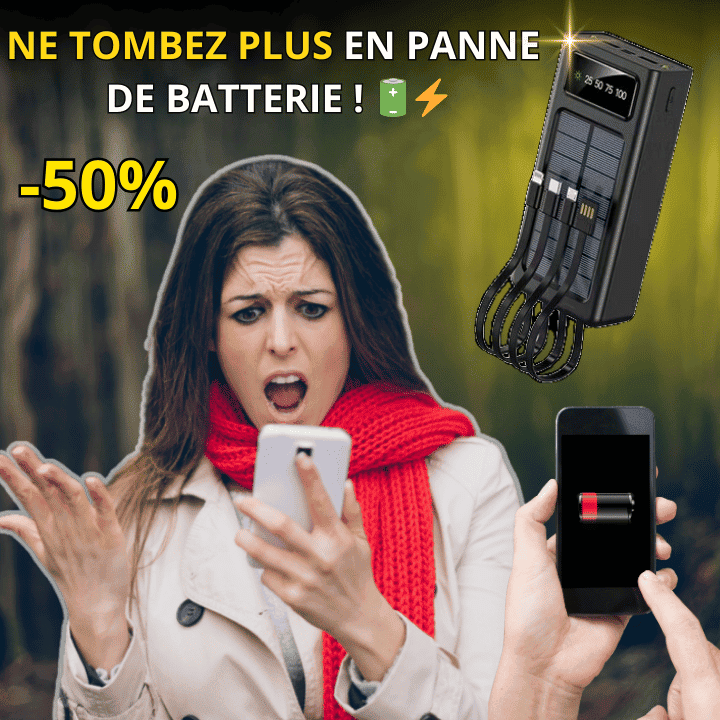 Chargeur Solaire Portable à 4 Câbles